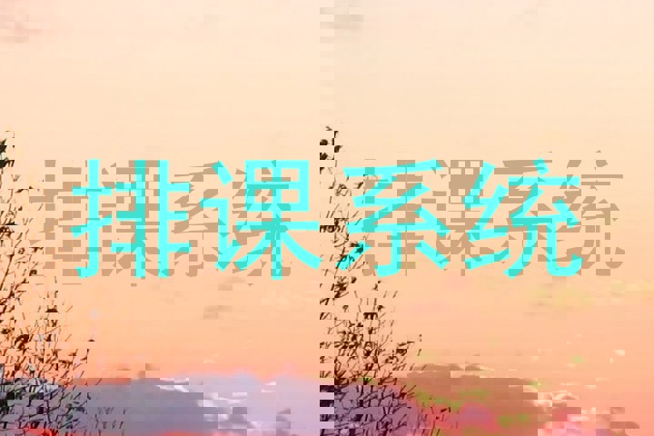 排课系统