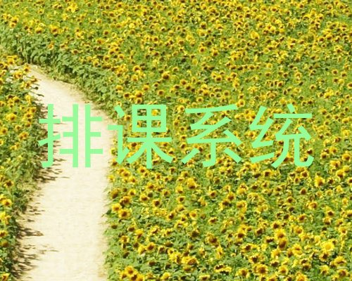 排课系统