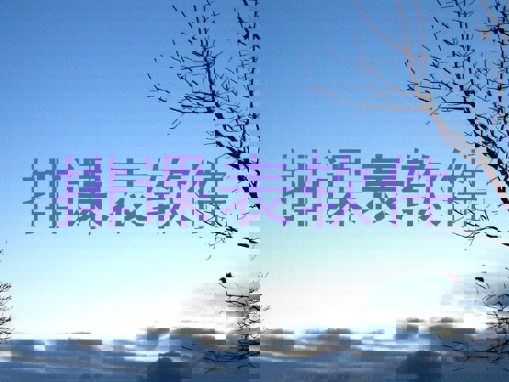 排课表软件