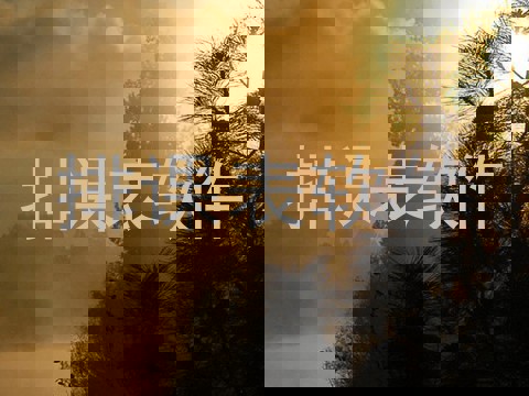 排课表软件