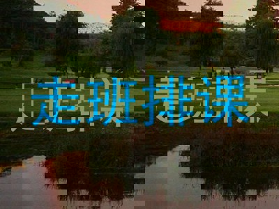 走班排课