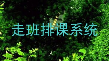 走班排课系统