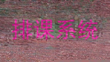 排课系统