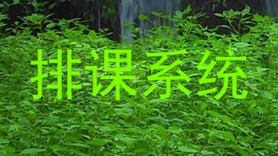 排课系统