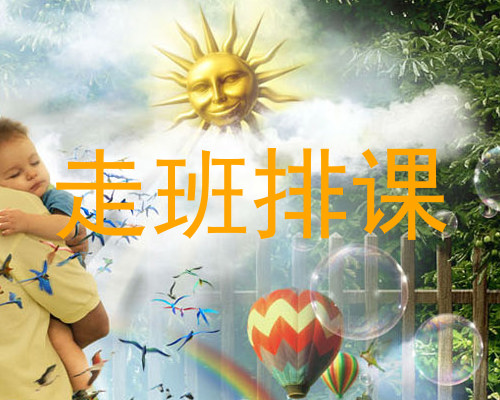 走班排课