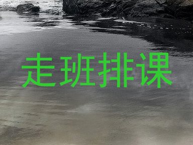 走班排课