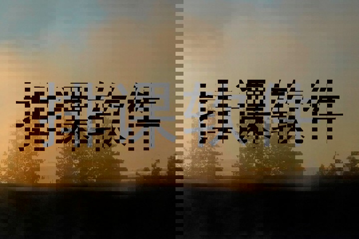 排课软件