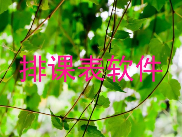 排课表软件