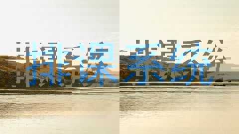排课系统