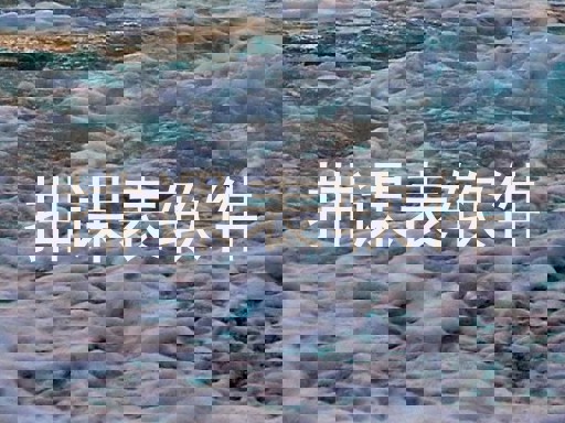 排课表软件