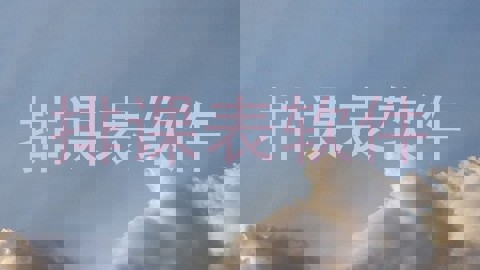 排课表软件