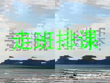 走班排课
