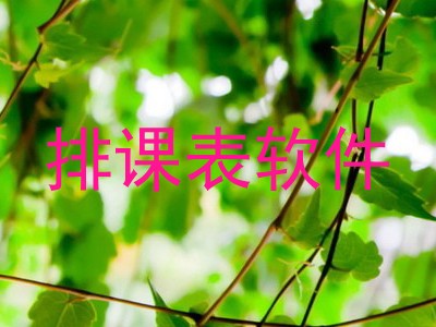 排课表软件