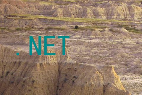 .NET
