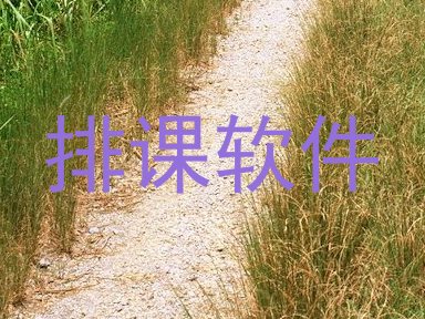 排课软件