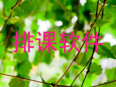 排课软件
