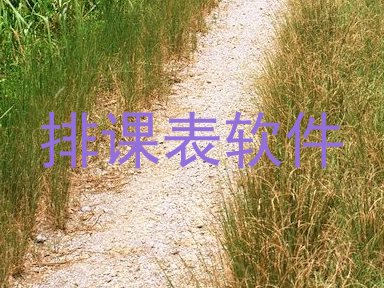 排课表软件