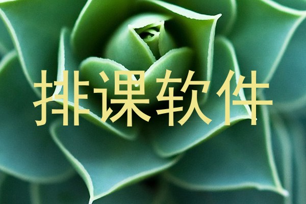 排课软件
