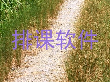 排课软件