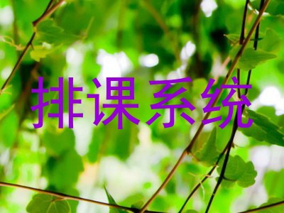排课系统