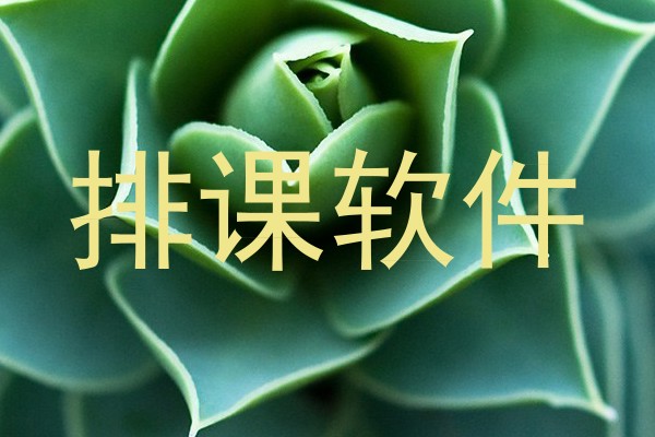 排课软件