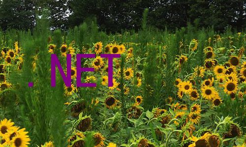 .NET