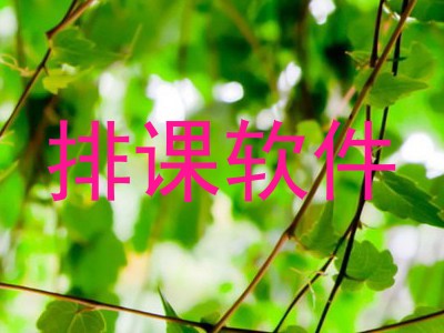 排课软件