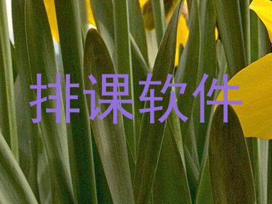 排课软件