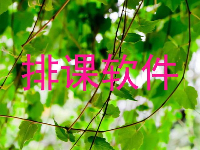 排课软件
