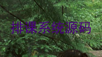 排课系统源码