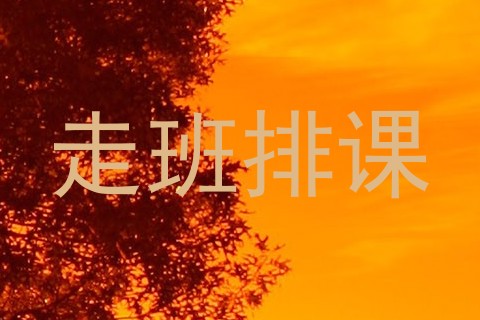 走班排课