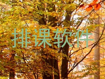 排课软件