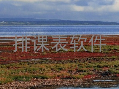排课表软件