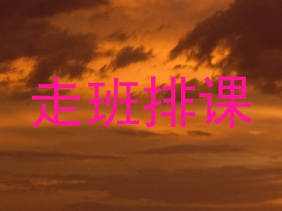 走班排课