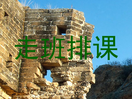 走班排课