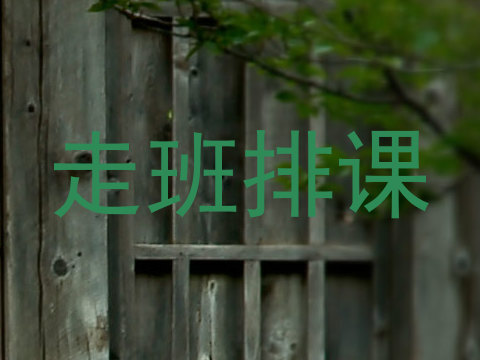 走班排课