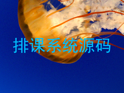 排课系统源码