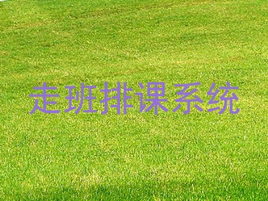 走班排课系统