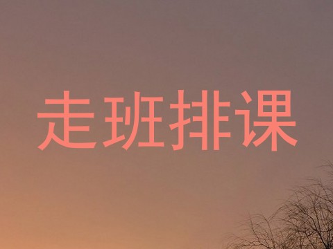 走班排课