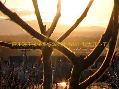 四川理工排课系统源码大揭秘！我太开心了