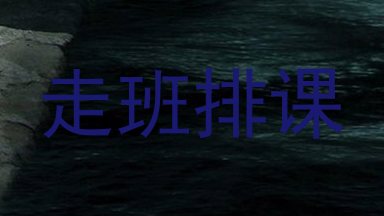 走班排课
