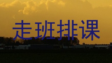 走班排课
