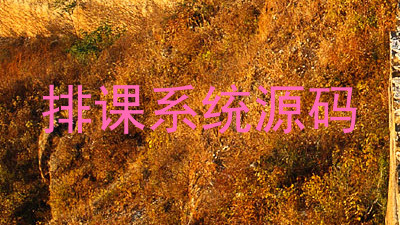 排课系统源码