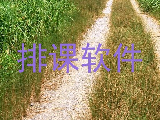 排课软件