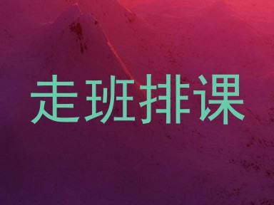 走班排课