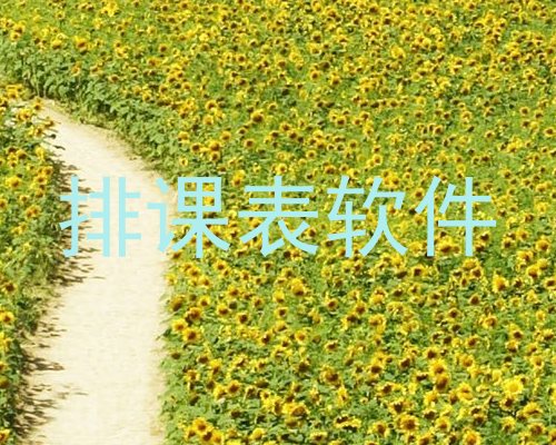 排课表软件