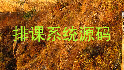 排课系统源码