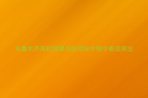 乌鲁木齐高校排课系统招标中锦中表现突出