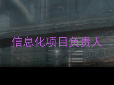 信息化项目负责人