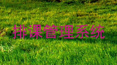 排课管理系统